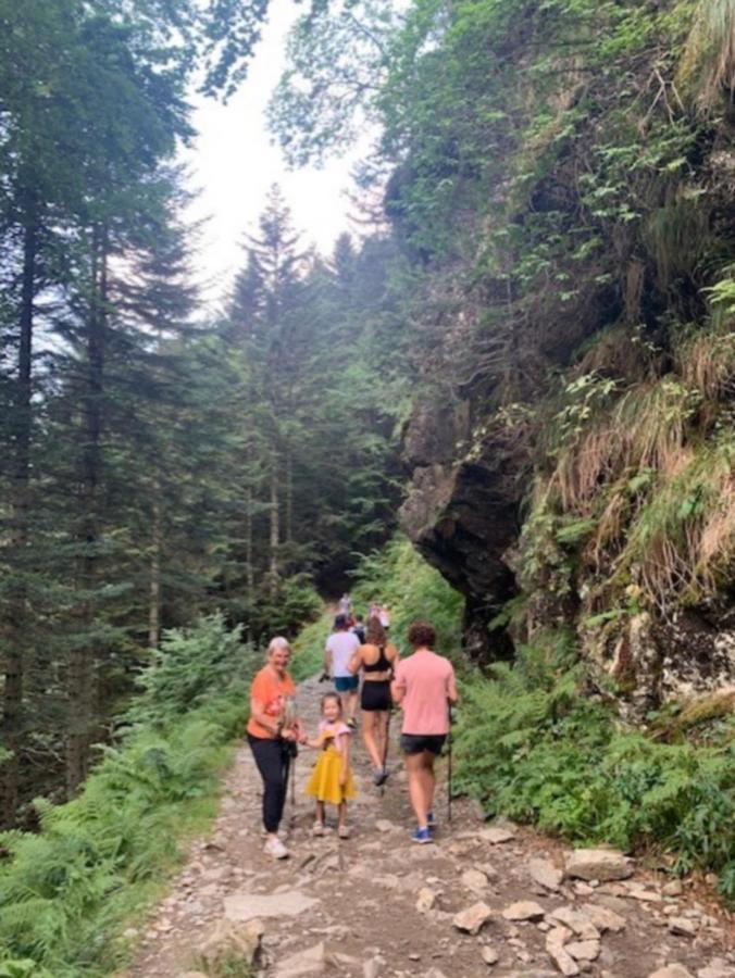 Appartement Tres Agreable Dans Belle Residence, Classe 3 Etoiles Par Le Comite Departementale Du Tourisme En Haute Garonne Bagneres-de-Luchon Luaran gambar