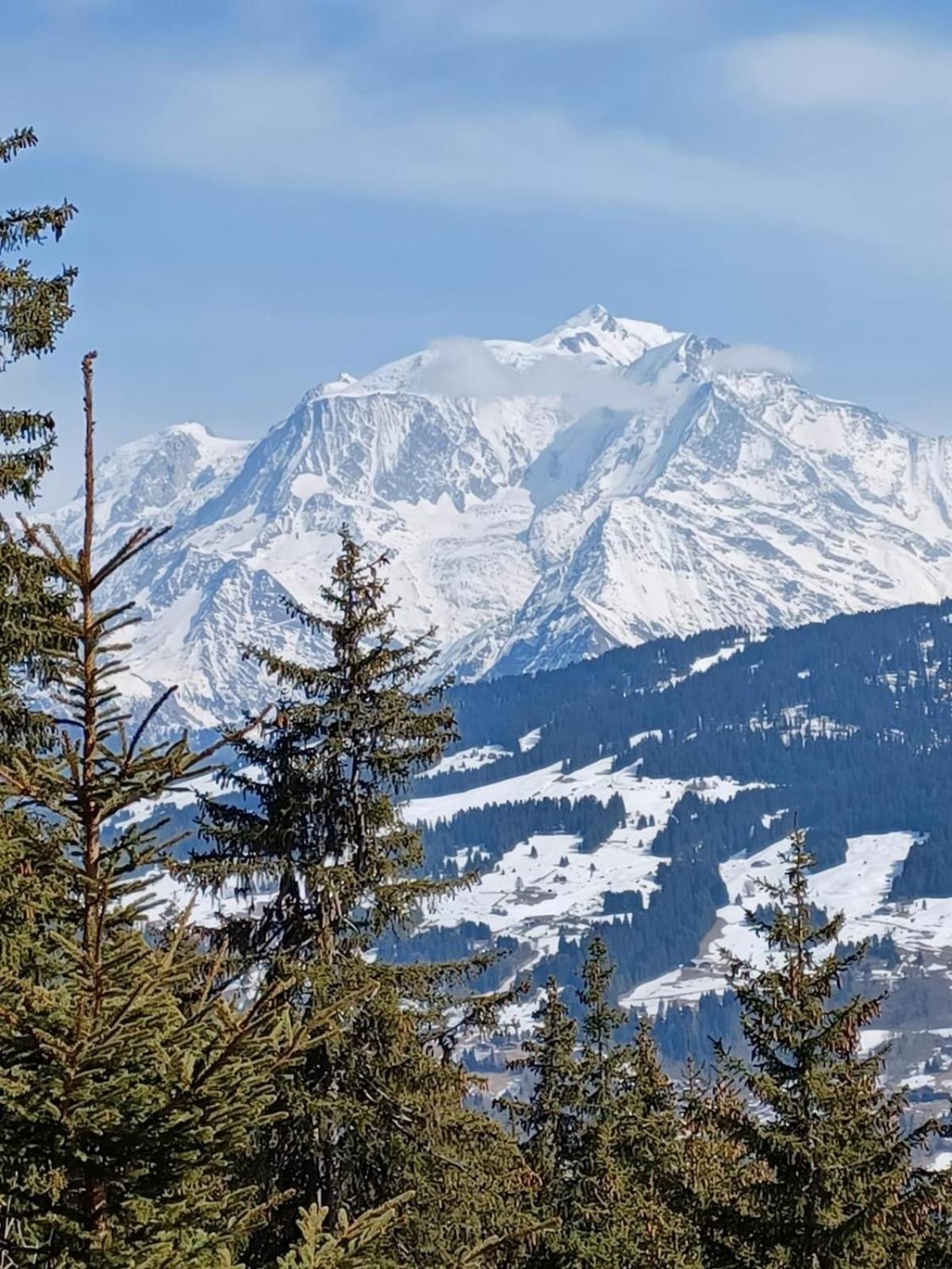 Appartement Tres Agreable Dans Belle Residence, Classe 3 Etoiles Par Le Comite Departementale Du Tourisme En Haute Garonne Bagneres-de-Luchon Luaran gambar